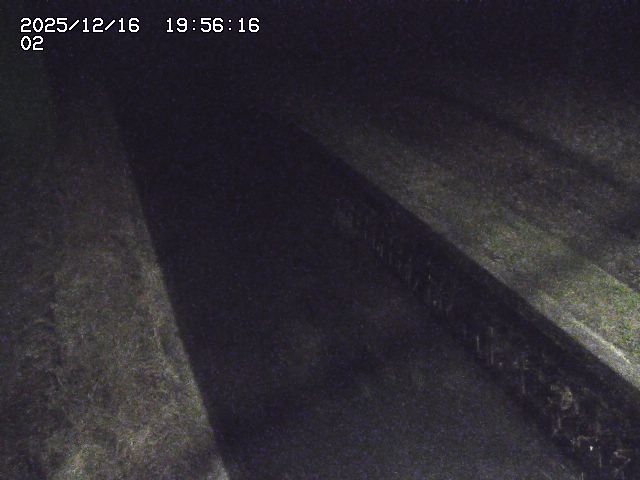 取得できませんでした