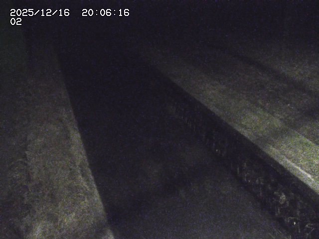 取得できませんでした