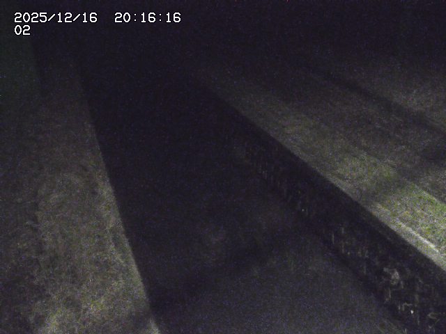 取得できませんでした