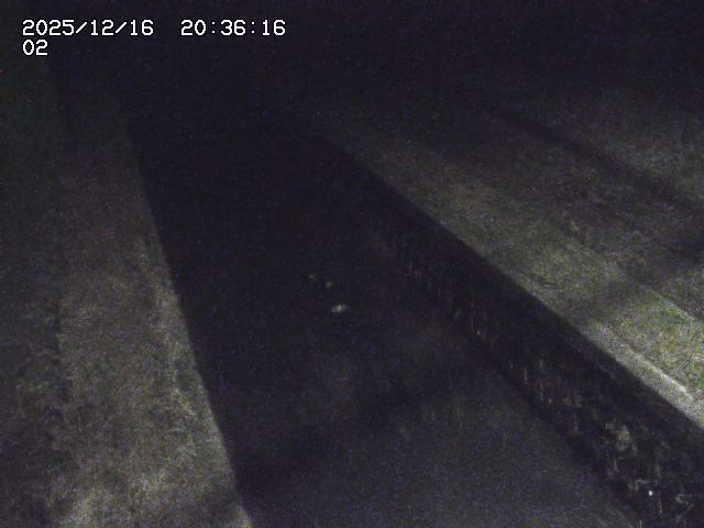 取得できませんでした