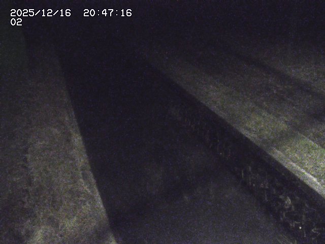 取得できませんでした