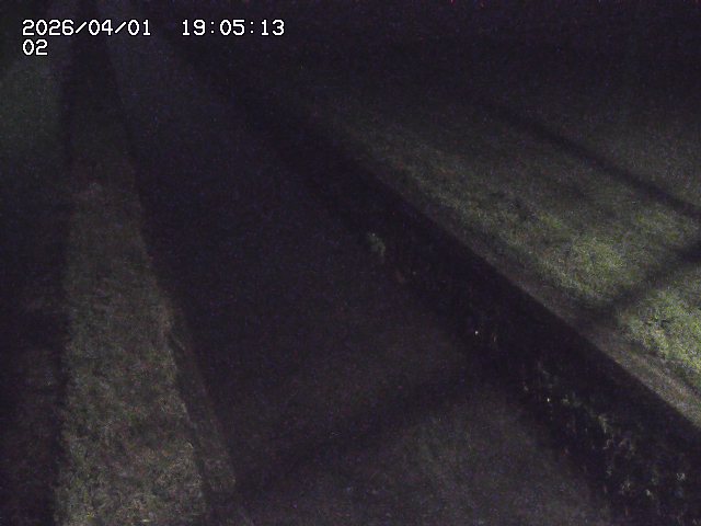 取得できませんでした