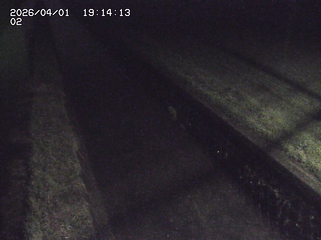 取得できませんでした