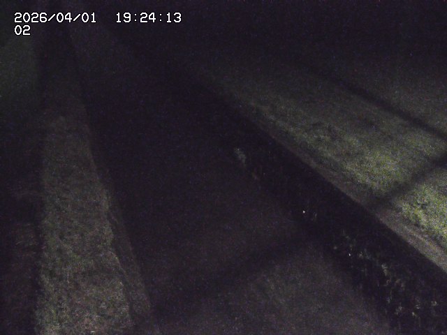 取得できませんでした