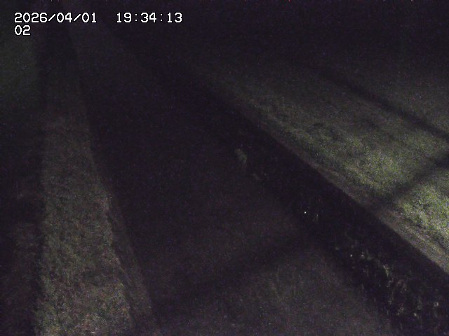 取得できませんでした