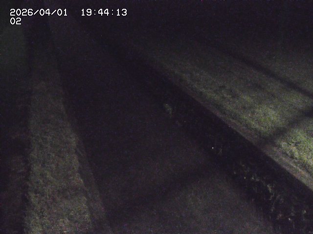 取得できませんでした