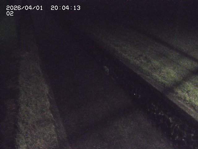 取得できませんでした