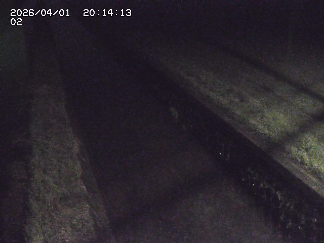 取得できませんでした