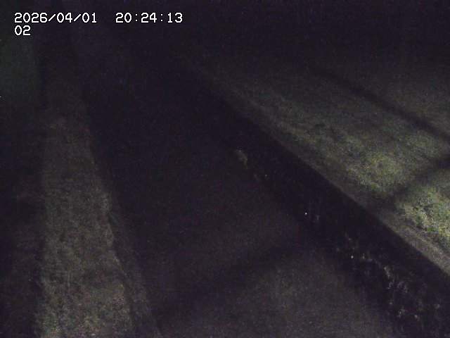 取得できませんでした