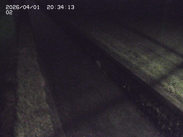 取得できませんでした