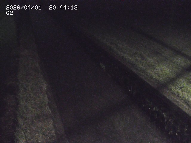 取得できませんでした