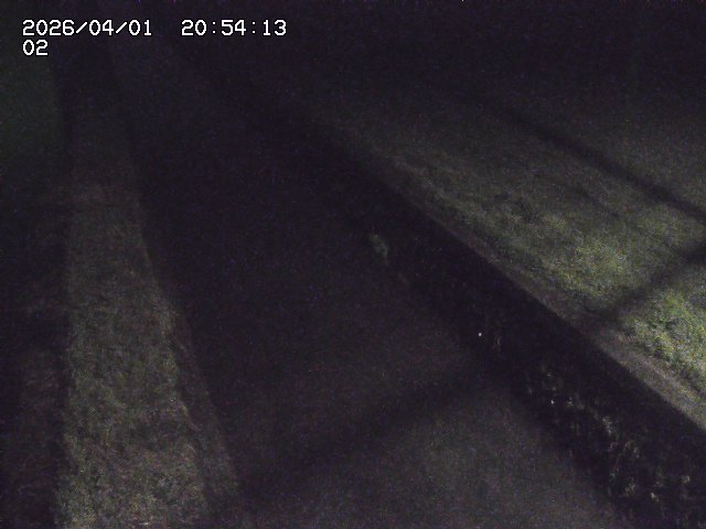 取得できませんでした