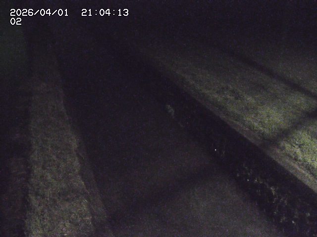 取得できませんでした