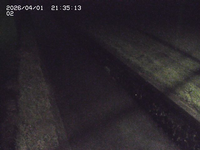 取得できませんでした