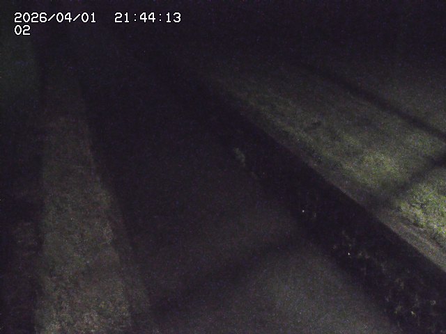 取得できませんでした