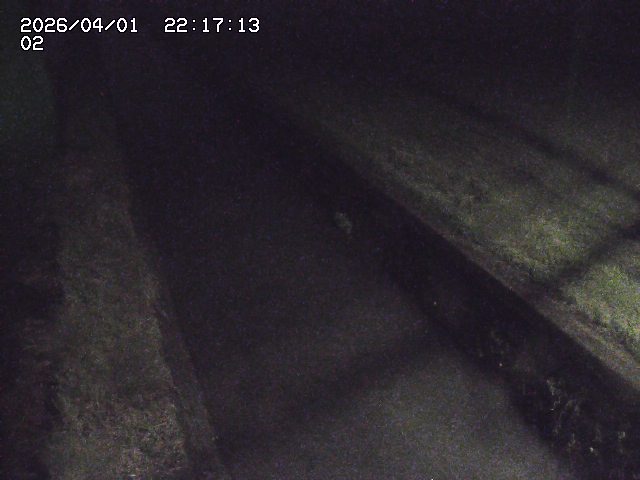 取得できませんでした