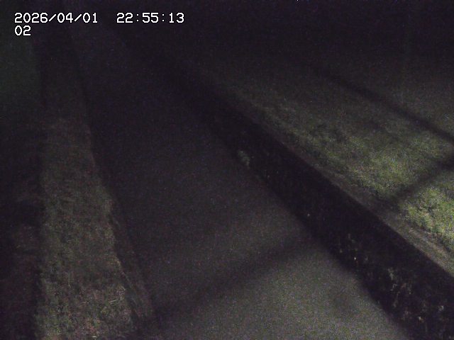 取得できませんでした