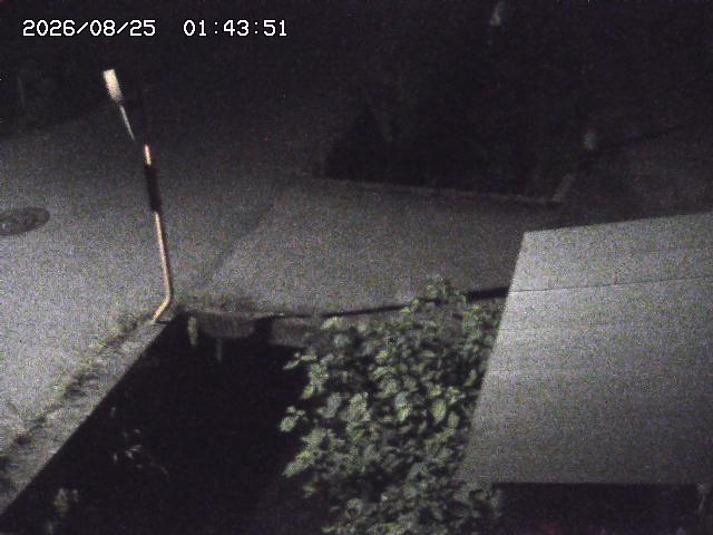 取得できませんでした