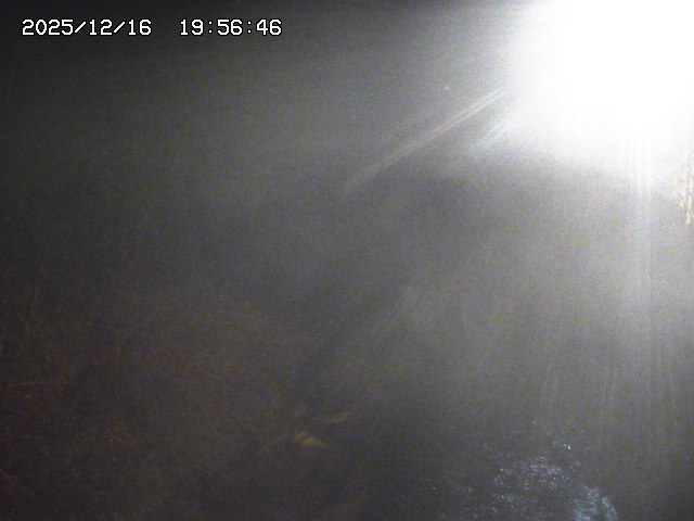 取得できませんでした