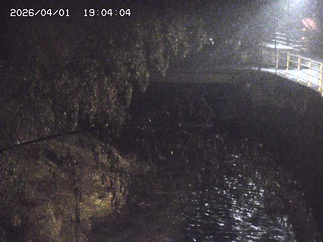 取得できませんでした