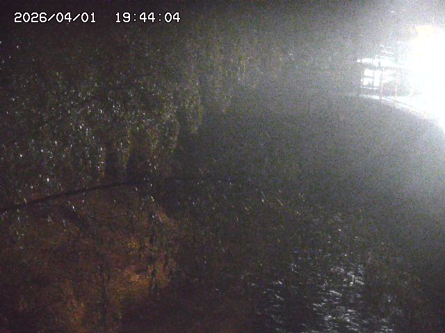 取得できませんでした