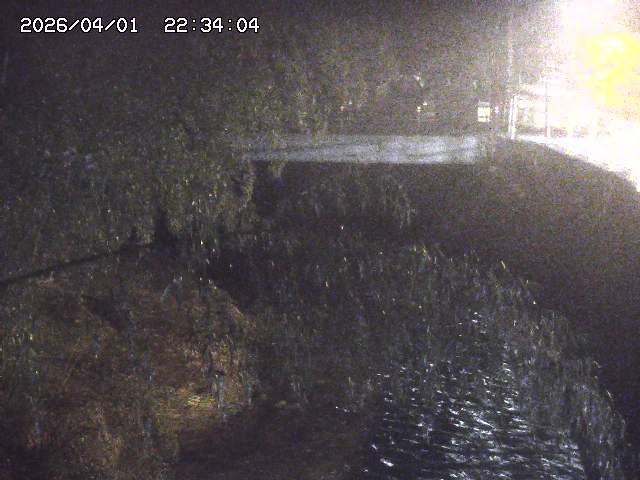 取得できませんでした