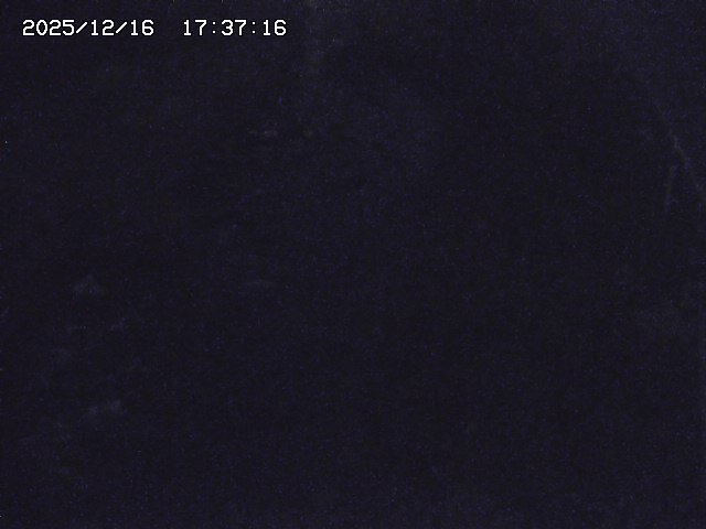 取得できませんでした