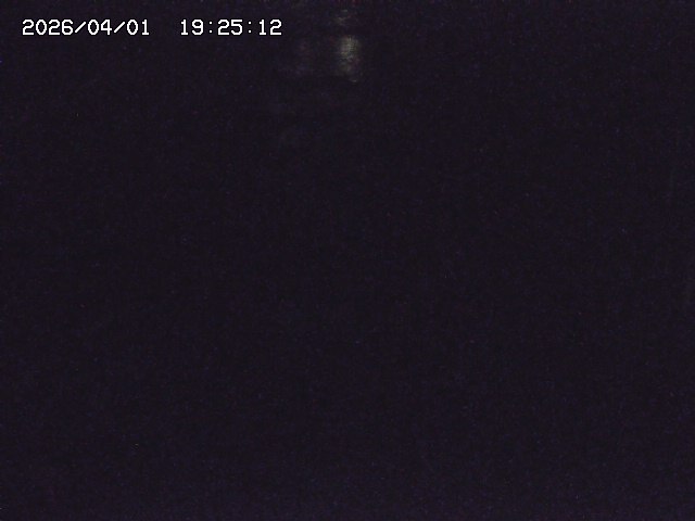 取得できませんでした