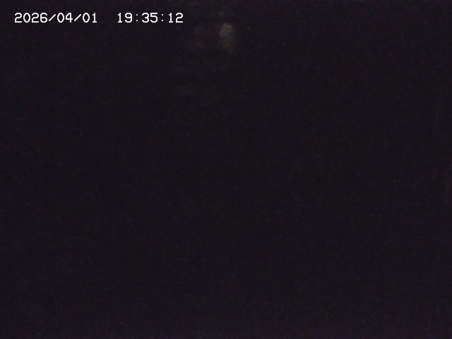 取得できませんでした