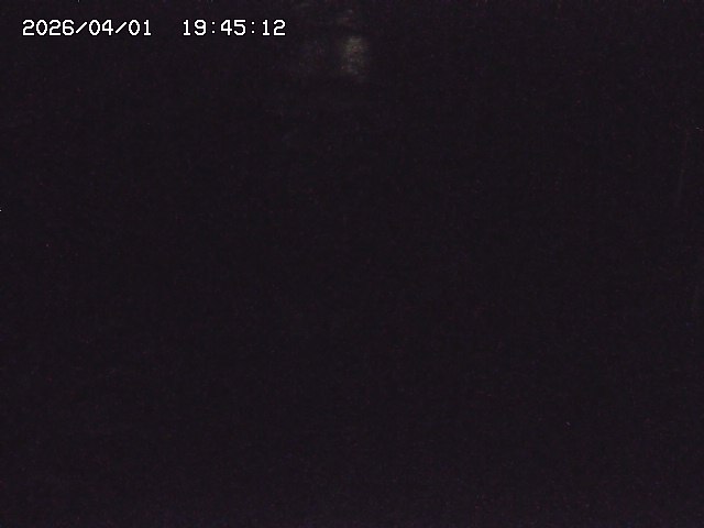 取得できませんでした