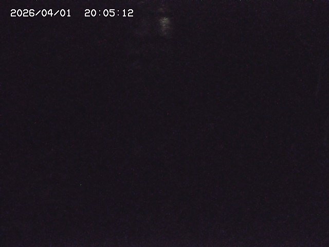 取得できませんでした