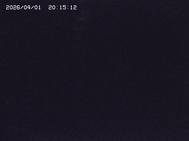 取得できませんでした