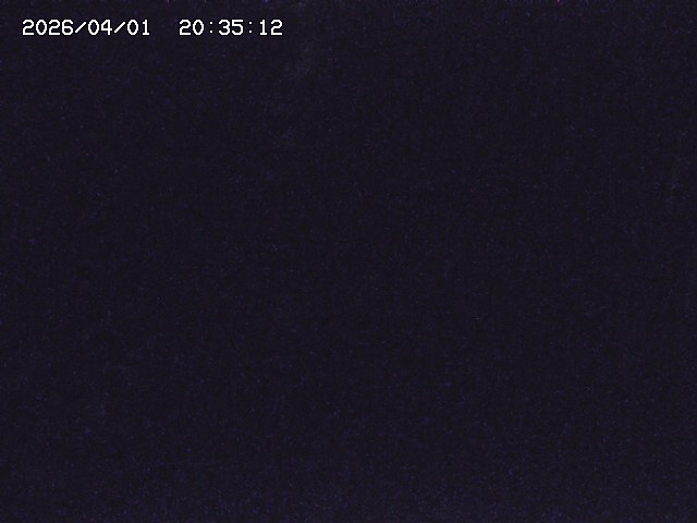 取得できませんでした