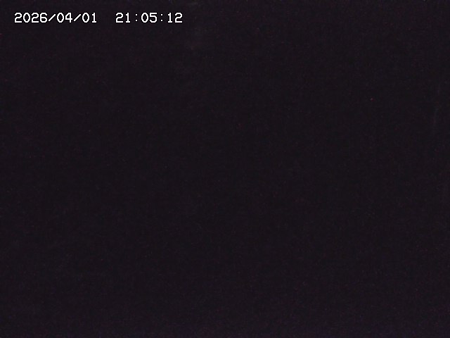 取得できませんでした