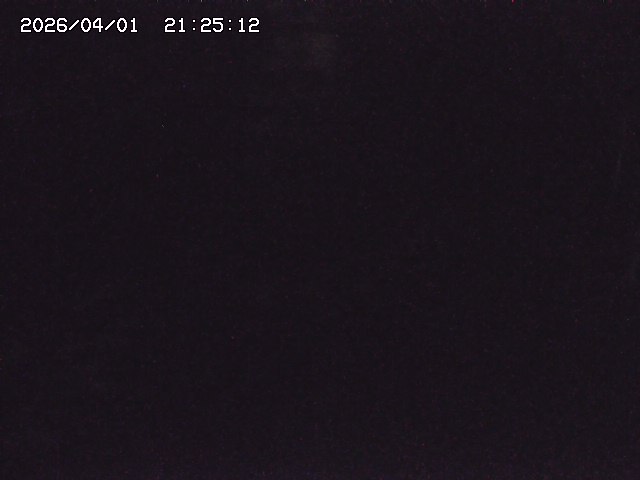 取得できませんでした