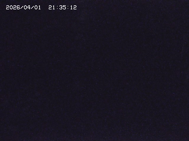 取得できませんでした