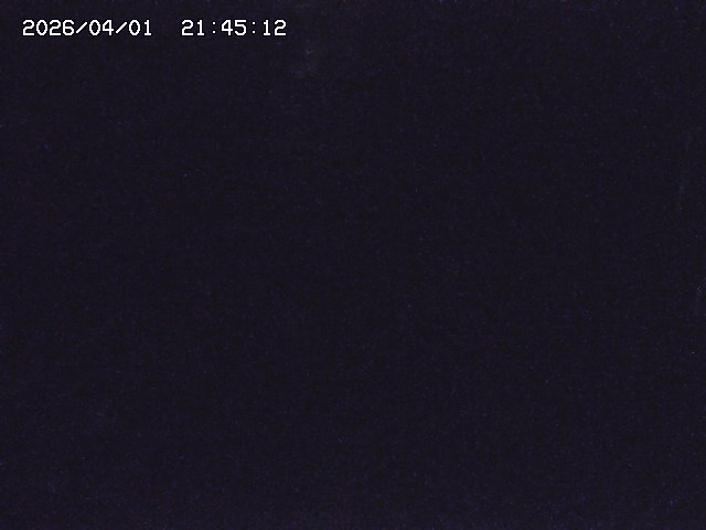 取得できませんでした