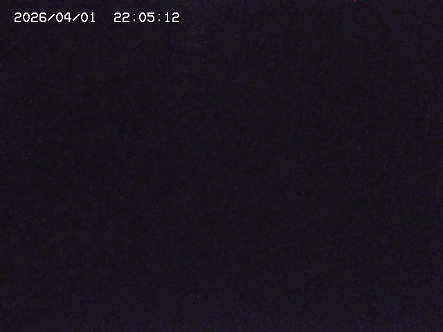 取得できませんでした