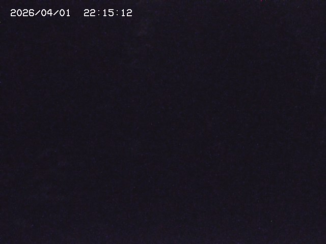 取得できませんでした