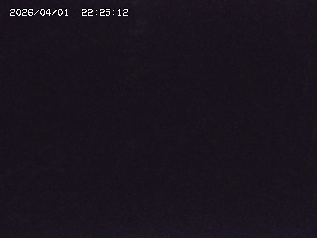 取得できませんでした