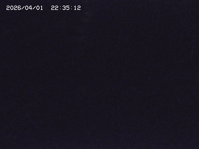 取得できませんでした