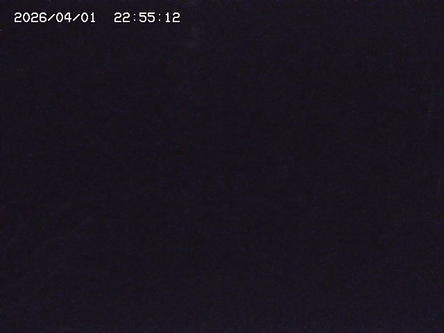 取得できませんでした