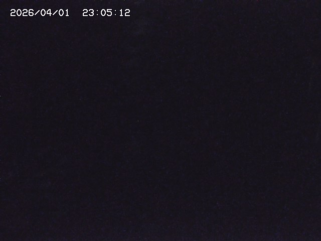 取得できませんでした