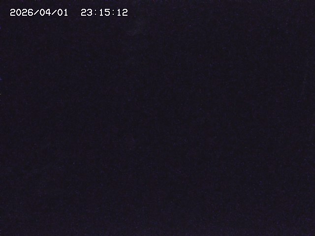 取得できませんでした