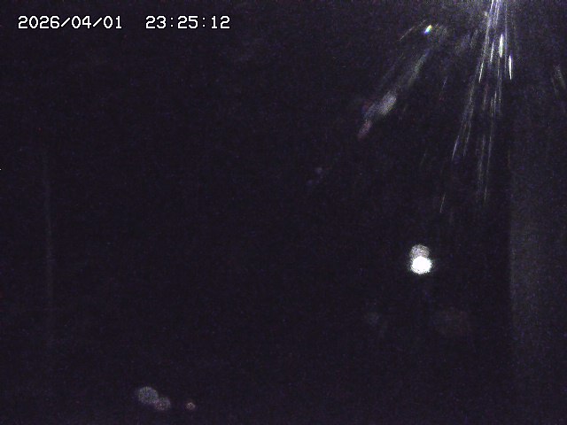 取得できませんでした