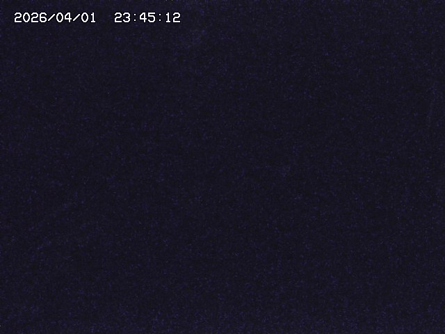 取得できませんでした