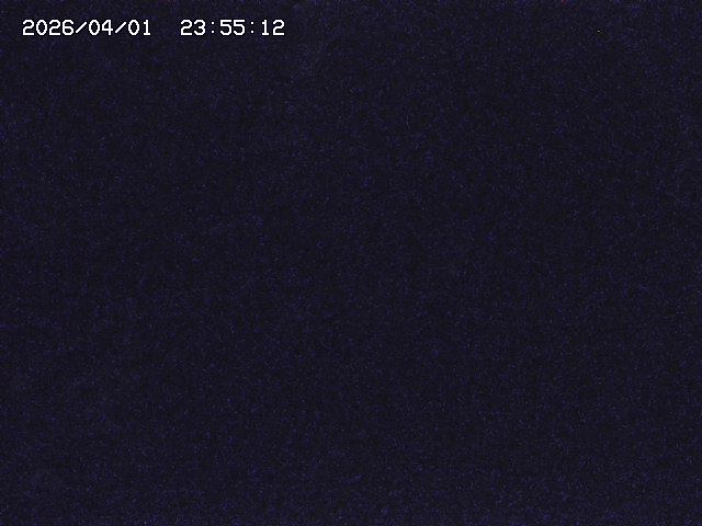 取得できませんでした