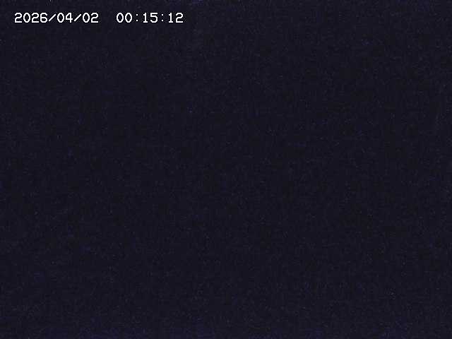 取得できませんでした