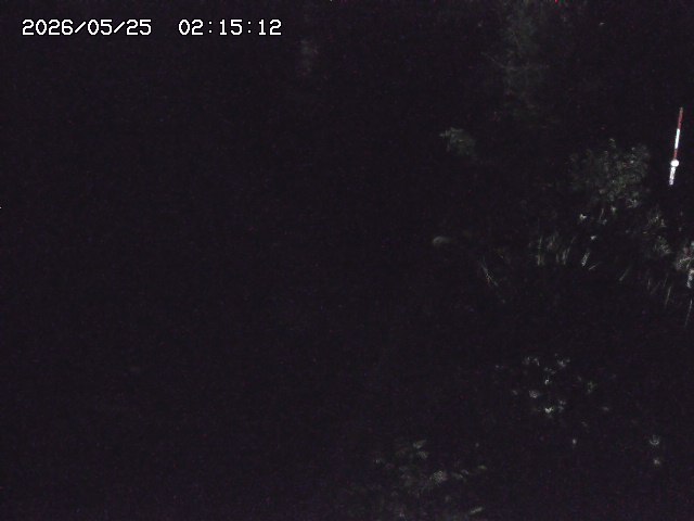 取得できませんでした