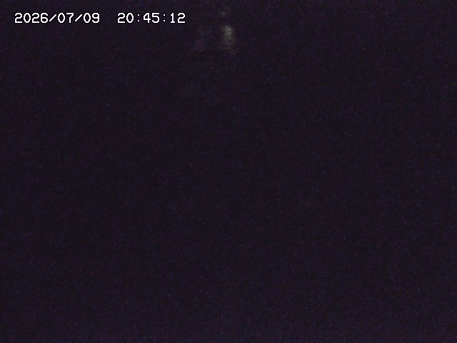 取得できませんでした